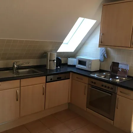 Pusteblume * Olsdorf (Nordfriesland)